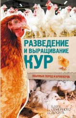 читать Разведение и выращивание кур обычных пород и бройлеров