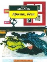 читать Кролик, беги