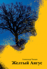 читать Желтый Ангус (сборник)
