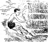 читать Осьминог