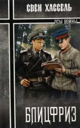 читать Блицфриз