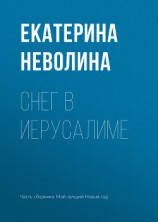читать Снег в Иерусалиме