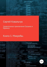 читать Удивительные приключения Грошика и Буржика