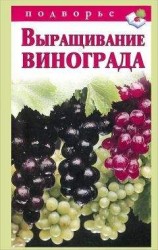 читать Выращивание винограда