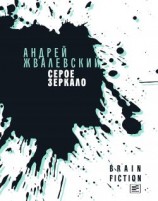 читать Серое зеркало