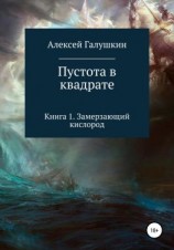 читать Пустота в квадрате. Книга 1. Замерзающий кислород