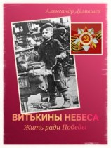 читать Витькины небеса. Жить ради Победы