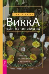 читать Викка для начинающих. Основы философии и практики