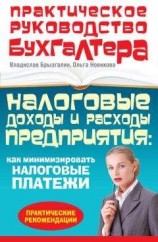 читать Налоговые доходы и расходы предприятия : как минимизировать налоговые платежи