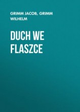 читать Duch we flaszce