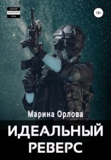 читать Идеальный реверс