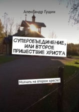 читать Суперобъединение, или Второе пришествие Христа. Молчать на втором кресте!