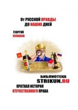 читать От Русской Правды до наших дней. Краткая история отечественного права