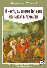 читать Я  осёл, на котором Господин мой въехал в Иерусалим