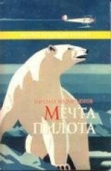 читать Мечта пилота