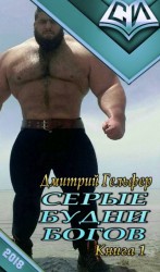 читать Серые будни богов: Книга 1