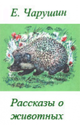читать Рассказы о животных