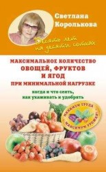 читать Максимальное количество овощей, фруктов и ягод при минимальной нагрузке
