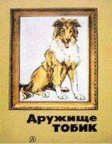 читать Последняя отрада