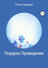 читать Подарок провидения