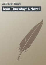 читать Joan Thursday: A Novel