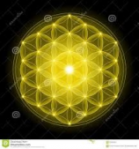 читать Золотой цветок: Глава 1 СИ