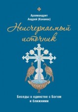 читать Неисчерпаемый источник: беседы о единстве с Богом и ближними