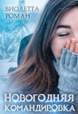 читать Новогодняя командировка