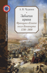 читать Забытая армия. Французы в Египте после Бонапарта. 1799  1800