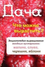 читать Что можно вырастить? Энциклопедия выращивания ягодных кустарников: малина, слива, черешня, яблоня