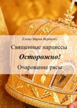 читать Священные нарциссы. Осторожно! Очарование рясы