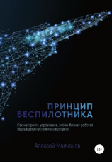 читать Принцип беспилотника, или Как настроить управление, чтобы бизнес работал без вашего постоянного контроля
