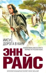 читать Иисус. Дорога в Кану