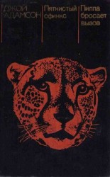 читать Пятнистый сфинкс. Пиппа бросает вызов (с иллюстрациями)