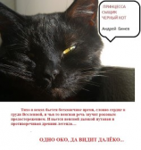 читать Принцесса, сыщик и черный кот
