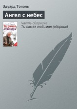 читать Ангел с небес