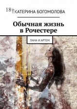 читать Обычная жизнь в Рочестере. Лана и Артем