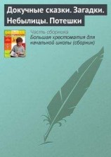 читать Докучные сказки. Загадки. Небылицы. Потешки