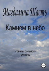 читать Камнем в небо