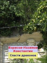 читать Спасти драконов
