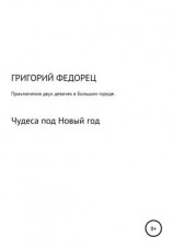 читать Приключения двух девочек в большом городе. Чудеса под Новый год