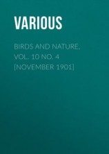 читать Birds and Nature, Vol. 10 No. 4 [November 1901]