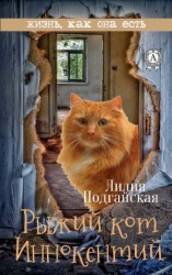 читать Рыжий кот Иннокентий