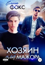 читать Хозяин для мажора