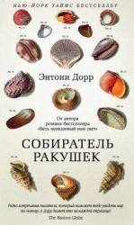 читать Собиратель ракушек