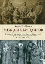 читать Меж двух мундиров. Италоязычные подданные Австро-Венгерской империи на Первой мировой войне и в русском плену