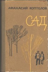 читать Сад (переработанное)