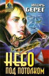 читать Небо под потолком