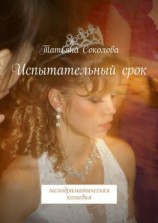 читать Испытательный срок. мелодраматическая комедия