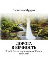 читать Дорога в вечность. Том 3. Благослови меня на Жизнь, любимый
